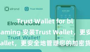 Trust Wallet for blockchain gaming 安装Trust Wallet，更安全地管理您的加密货币资产